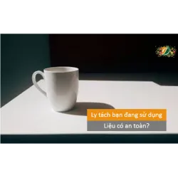 Ly tách bạn đang sử dụng liệu có an toàn
