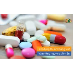 Lạm dụng thuốc kháng sinh và những nguy cơ nghiêm trọng