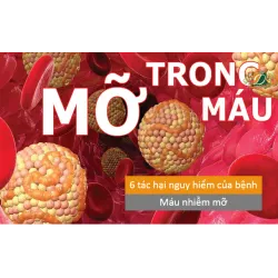 6 tác hại của bệnh máu nhiễm mỡ cực kỳ nguy hiểm