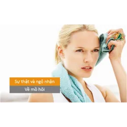 Sự thật và ngộ nhận về mồ hôi