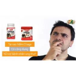 Tại sao Nấm Chaga có công dụng hỗ trợ bệnh nhân ung thư