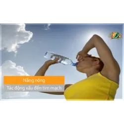 Nắng nóng và những tác động xấu đến tim mạch