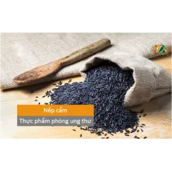 Nếp cẩm - siêu thực phẩm phòng bệnh ung thư