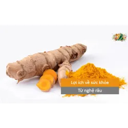Bằng chứng nói về lợi ích sức khoẻ của nghệ râu