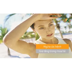 Ngừa các bệnh gia tăng đầu hè