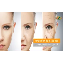 Khi làn da là tấm gương phản chiếu lão hóa do nội tiết