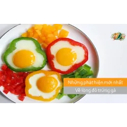 Những phát hiện mới về lòng đỏ trứng