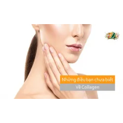 Collagen và tất cả những điều bạn chưa biết về thực phẩm này