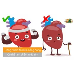 Uống nước đá lạnh mùa nắng nóng có thể làm chậm nhịp tim
