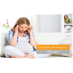 Vì sao phụ nữ mang thai và sinh đẻ dễ bị ốm