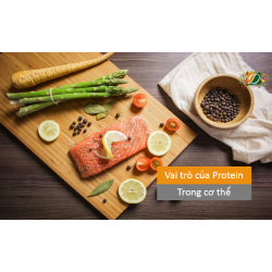 Nguồn thực phẩm giàu Protein