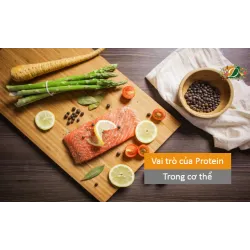 Vai trò quan trọng của Protein trong cơ thể