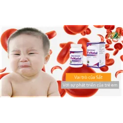 Vai trò của sắt đối với sự phát triển của trẻ em