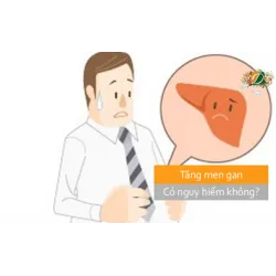 Tăng men gan có nguy hiểm