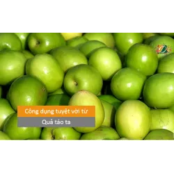 Hàng tá tác dụng chữa bệnh tuyệt vời từ quả táo ta