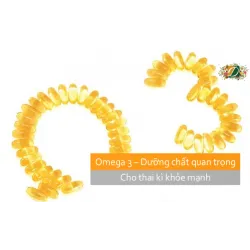 Omega 3- Dưỡng chất không thể thiếu cho thai kỳ khỏe mạnh