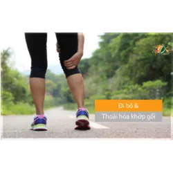 Đi bộ và thoái hóa khớp gối