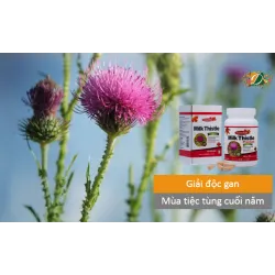 Giải độc gan mùa tiệc tùng cuối năm
