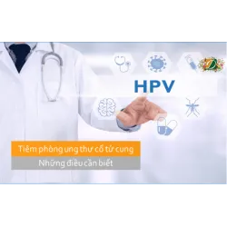 Tiêm phòng ung thư cổ tử cung (HPV) : Những điều cần thiết