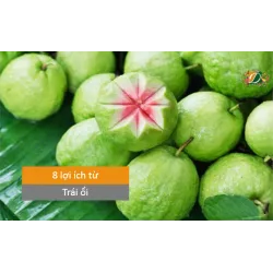 8 lợi ích từ trái ổi