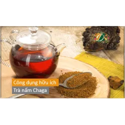 Công dụng của nấm Chaga 