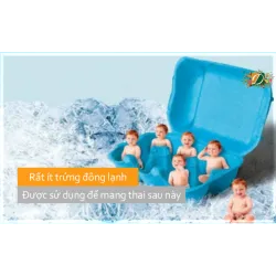 Rất ít trứng đông lạnh được sử dụng để mang thai sau này