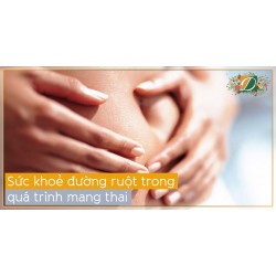 TẦM QUAN TRỌNG CỦA SỨC KHOẺ ĐƯỜNG RUỘT TRONG QUÁ TRÌNH MANG THAI