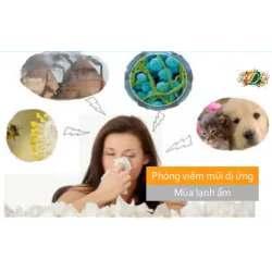Phòng viêm mũi dị ứng mùa lạnh ẩm