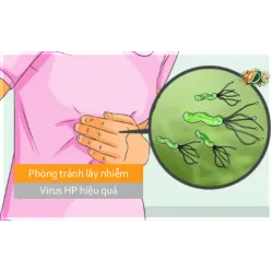 Tác dụng của keo ong trong việc ức chế sự phát triển của vi khuẩn HP từ những bệnh nhân bị viêm loét dạ dày